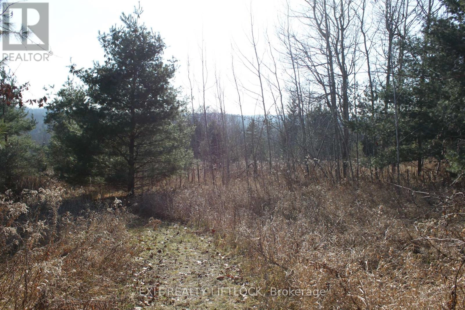 104 Concession 3 W, Trent Hills, Ontario K0K 3K0 - Photo 6 - X12089524