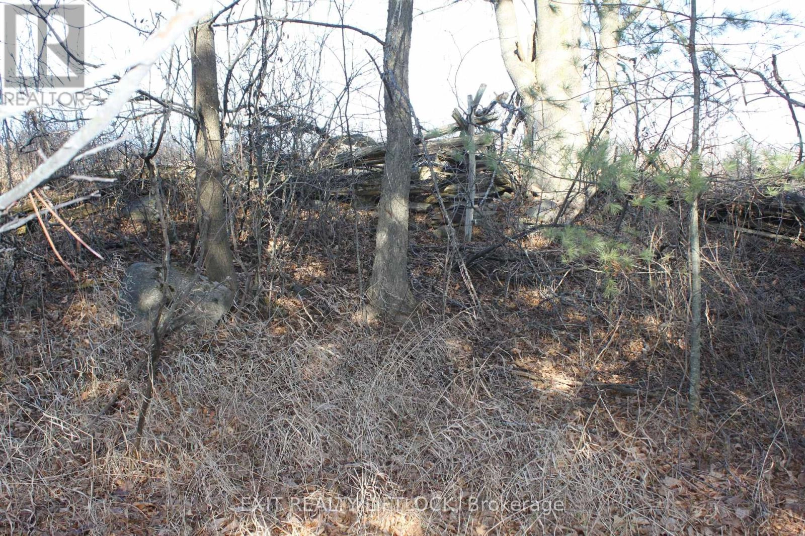 104 Concession 3 W, Trent Hills, Ontario K0K 3K0 - Photo 8 - X12089524