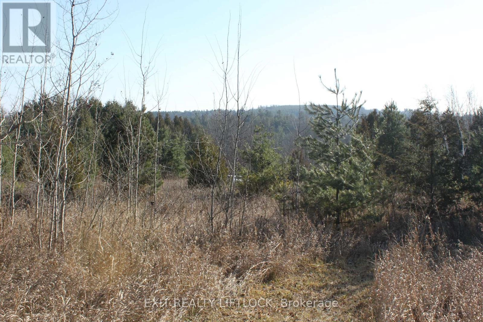 104 Concession 3 W, Trent Hills, Ontario K0K 3K0 - Photo 9 - X12089524