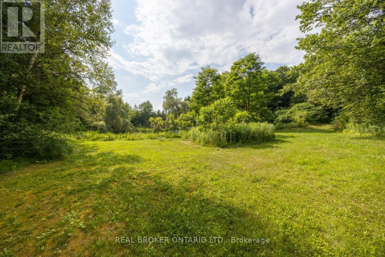 4204 Concession Road 8, Clarington, Ontario  L0B 1M0 - Photo 38 - E12279855