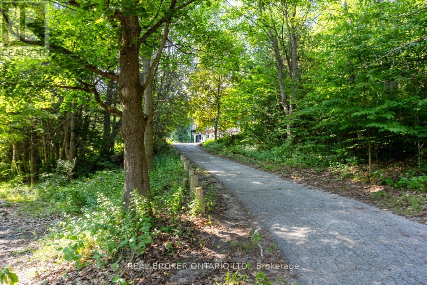 4204 Concession Road 8, Clarington, Ontario  L0B 1M0 - Photo 44 - E12279855