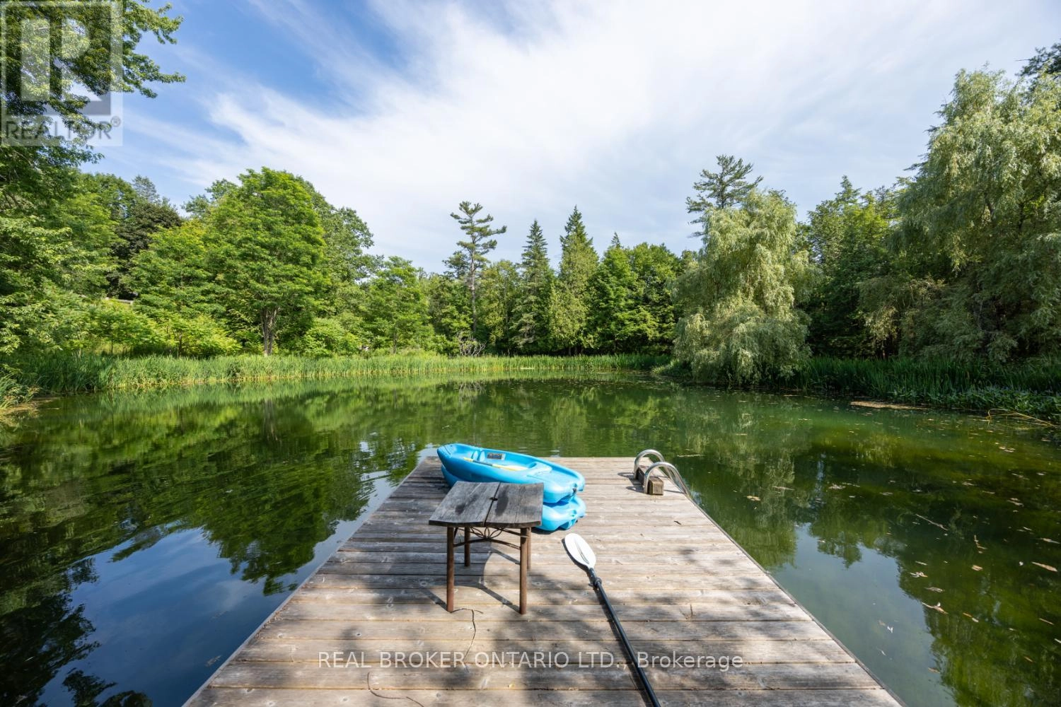 4204 Concession Road 8, Clarington, Ontario  L0B 1M0 - Photo 42 - E12279855