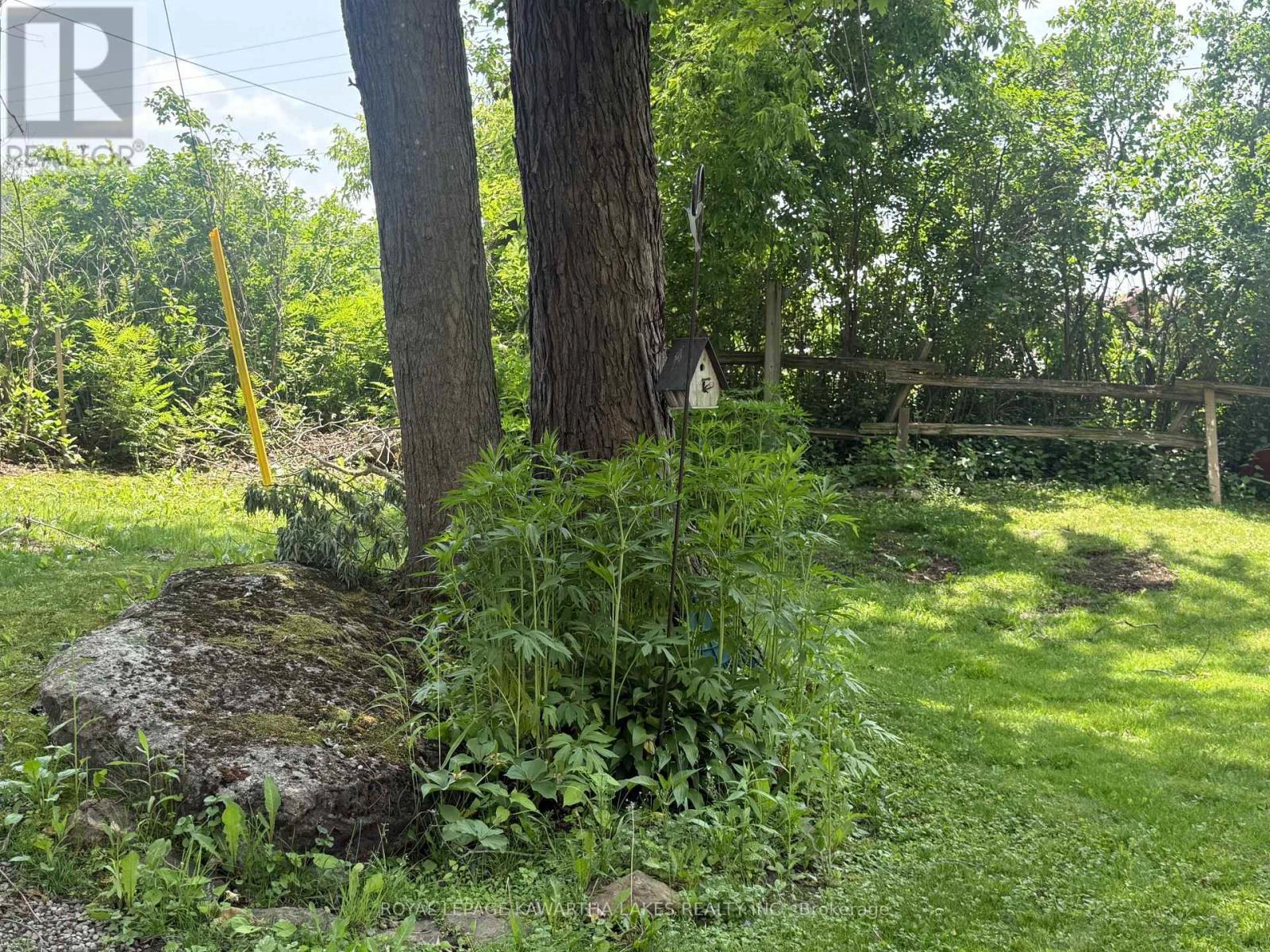 5 Government Dock Road, Kawartha Lakes, Ontario  K0M 2L0 - Photo 15 - X12499764