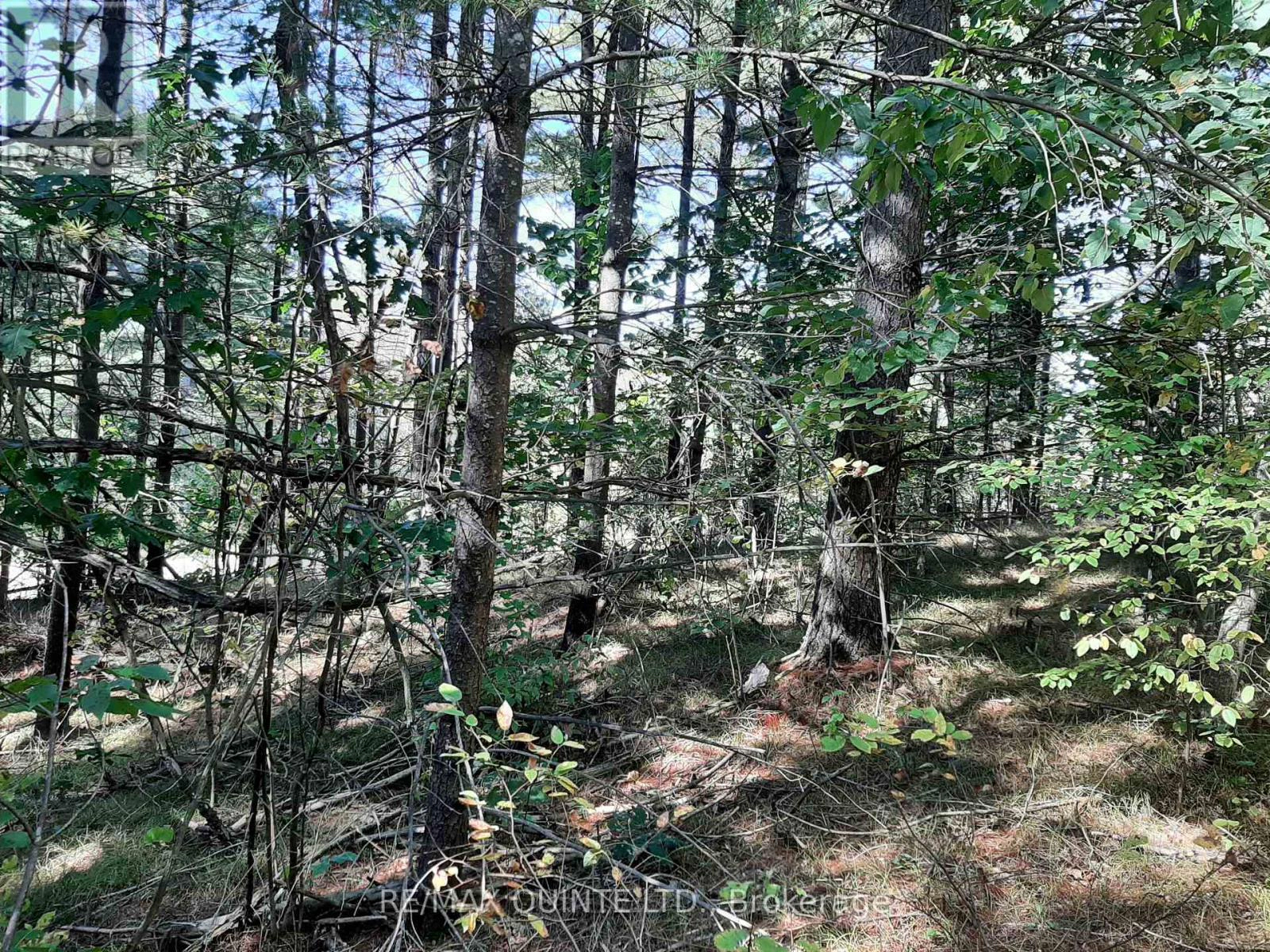 0 Pt Lt12 Con14 Hwy 37 Road, Tweed, Ontario  K0K 3J0 - Photo 13 - X12503318