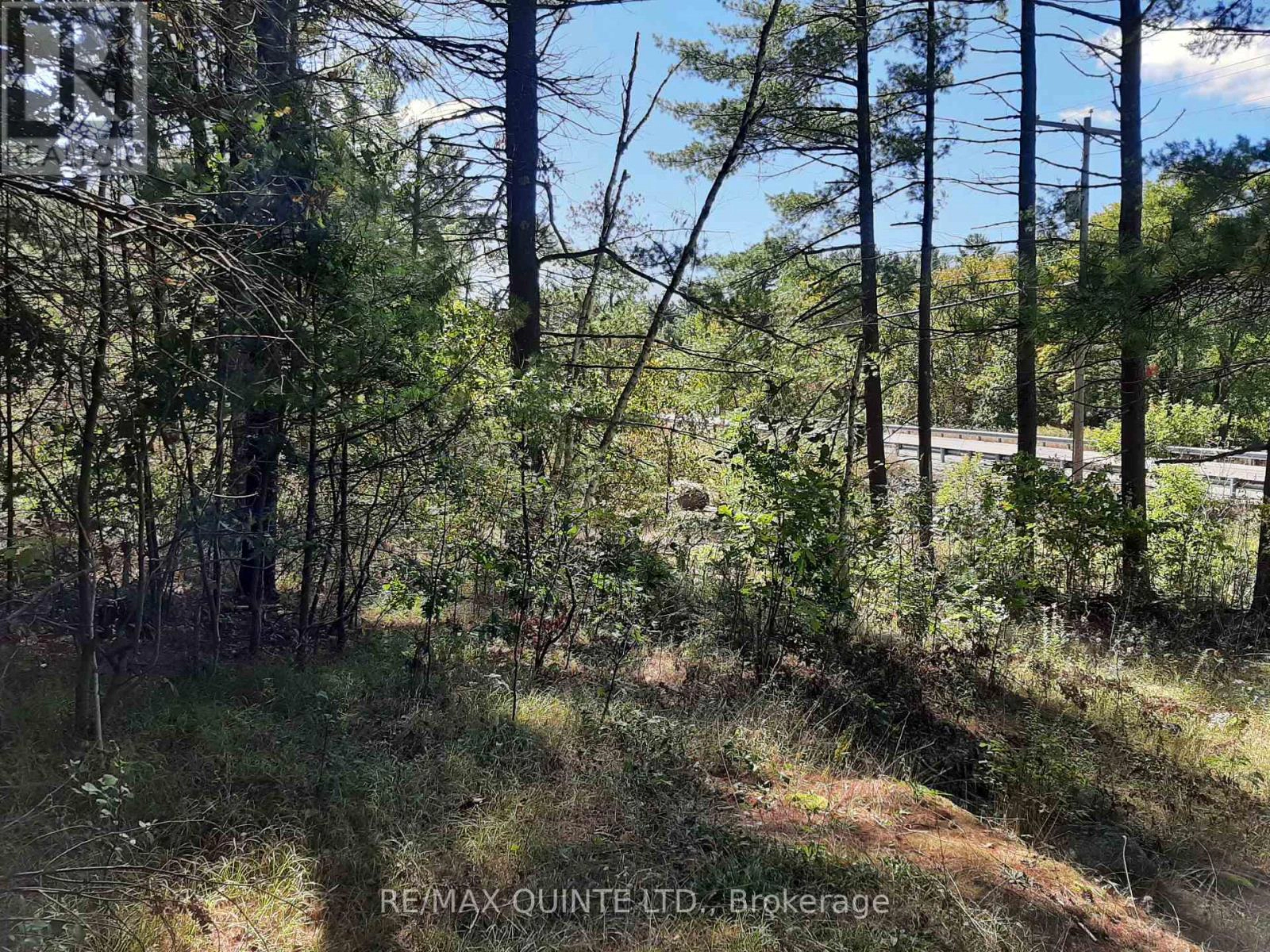 0 Pt Lt12 Con14 Hwy 37 Road, Tweed, Ontario  K0K 3J0 - Photo 15 - X12503318