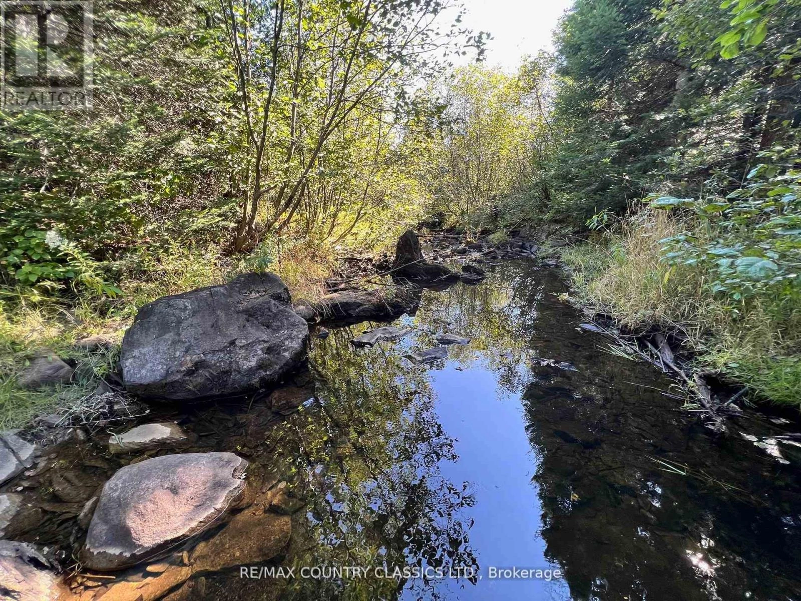 634 Lower Turriff Road, Bancroft, Ontario  K0L 2L0 - Photo 11 - X12516692