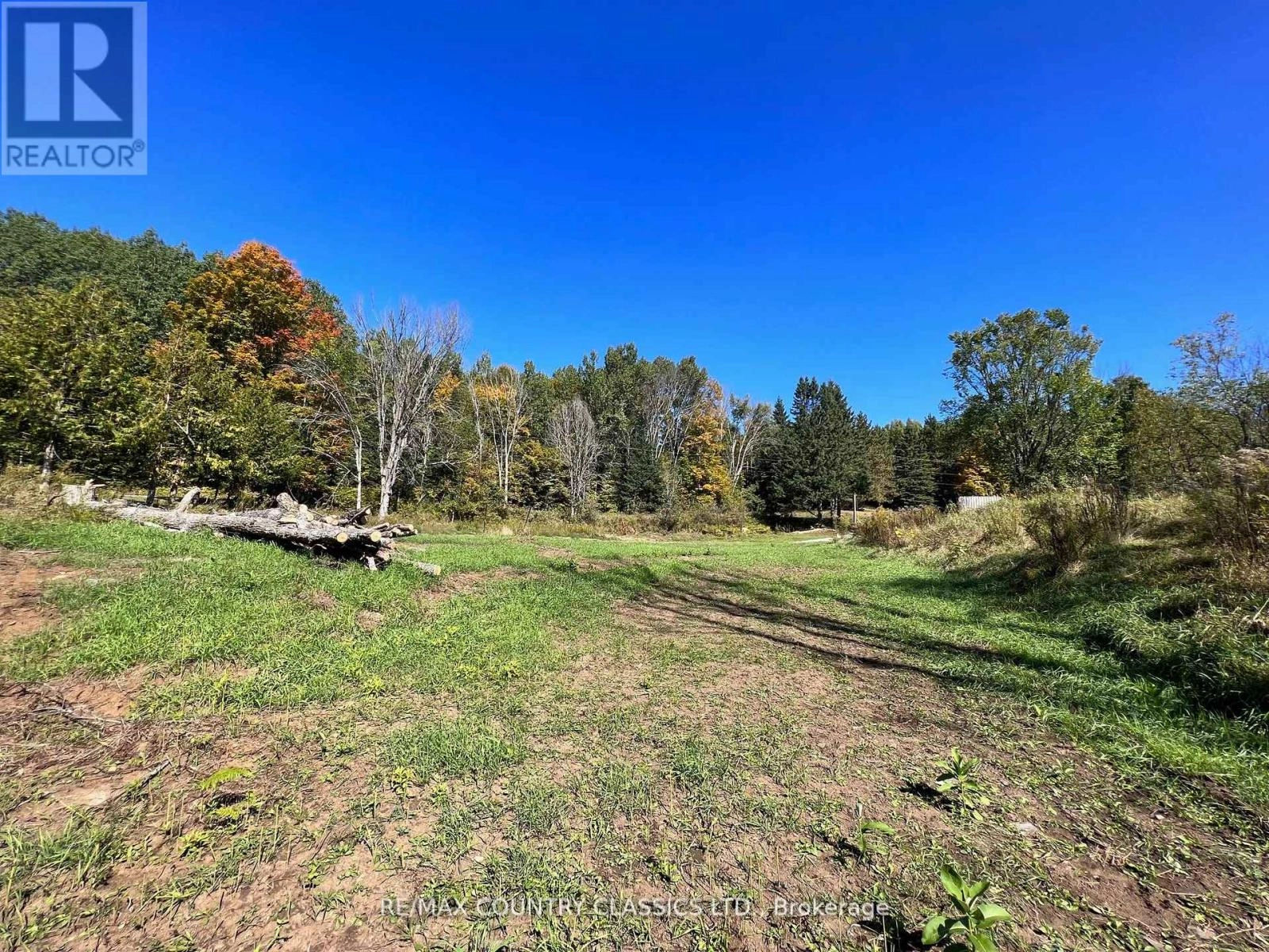 634 Lower Turriff Road, Bancroft, Ontario  K0L 2L0 - Photo 9 - X12516692