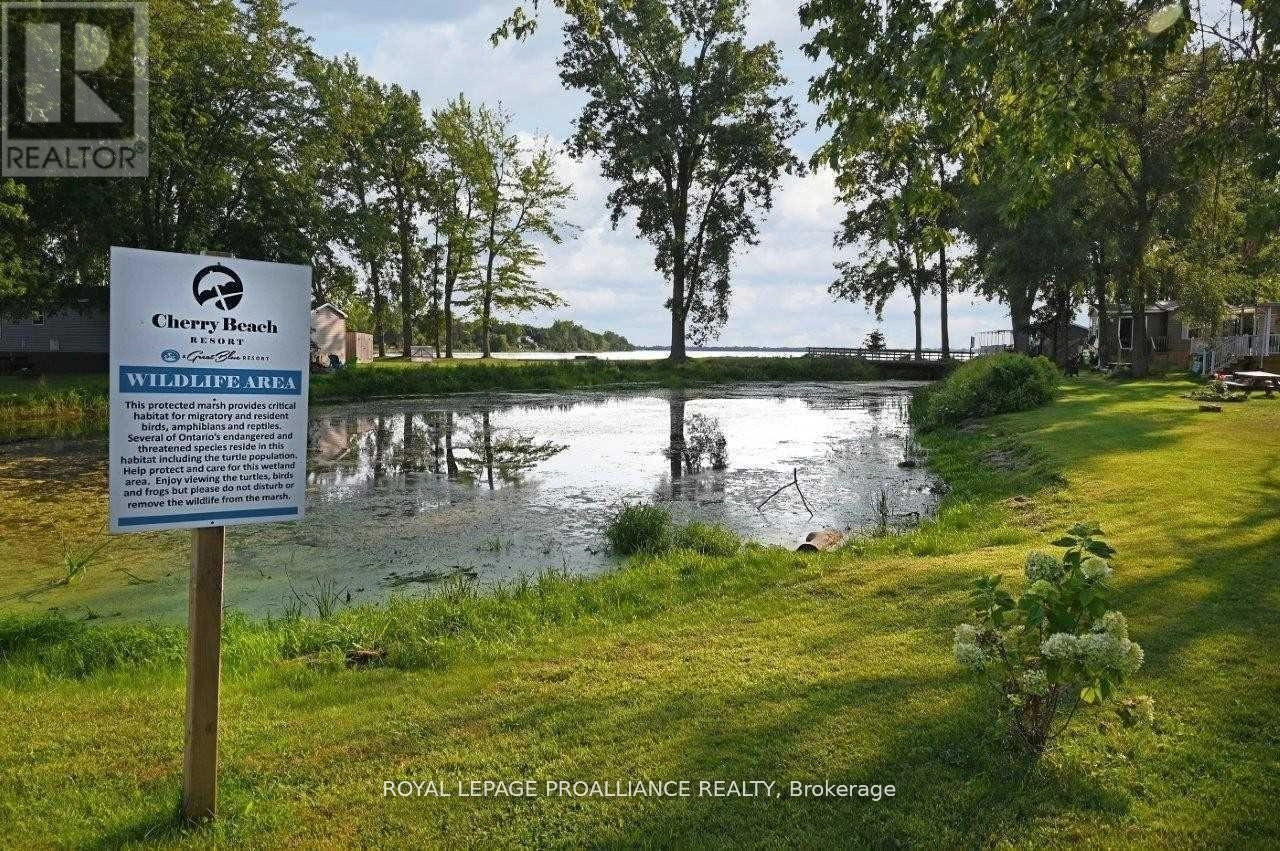 486 Cty Rd 18-12 Park Meadow Lane, Prince Edward County, Ontario  K0K 1P0 - Photo 34 - X12536902