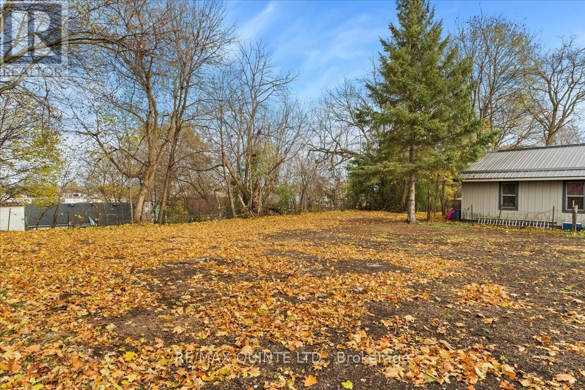 27 Purdy Street, Belleville, Ontario K8P 1Y8 - Photo 37 - X12555446