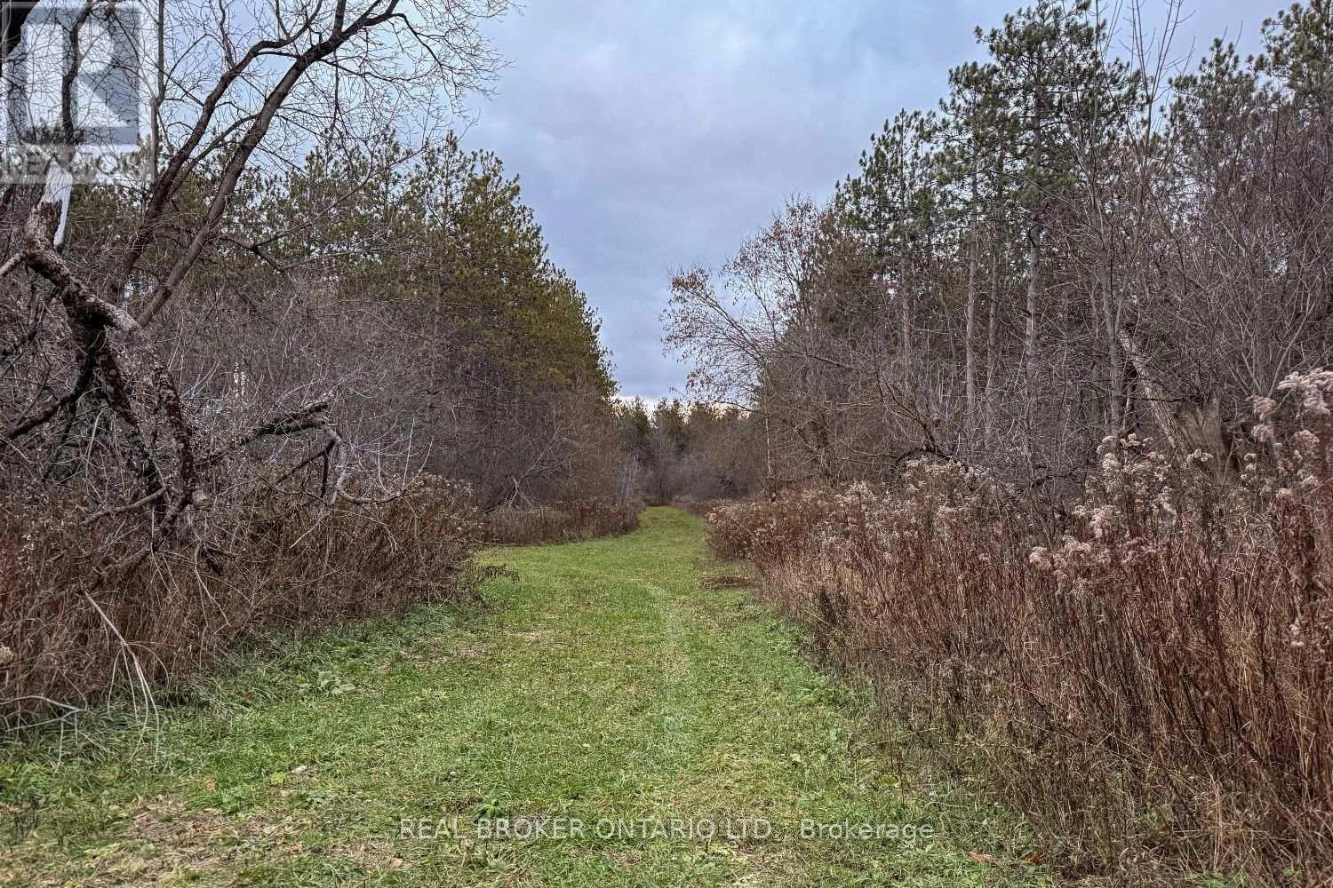 398 Sandy Hook Road, Kawartha Lakes, Ontario L0A 1K0 - Photo 47 - X12563490