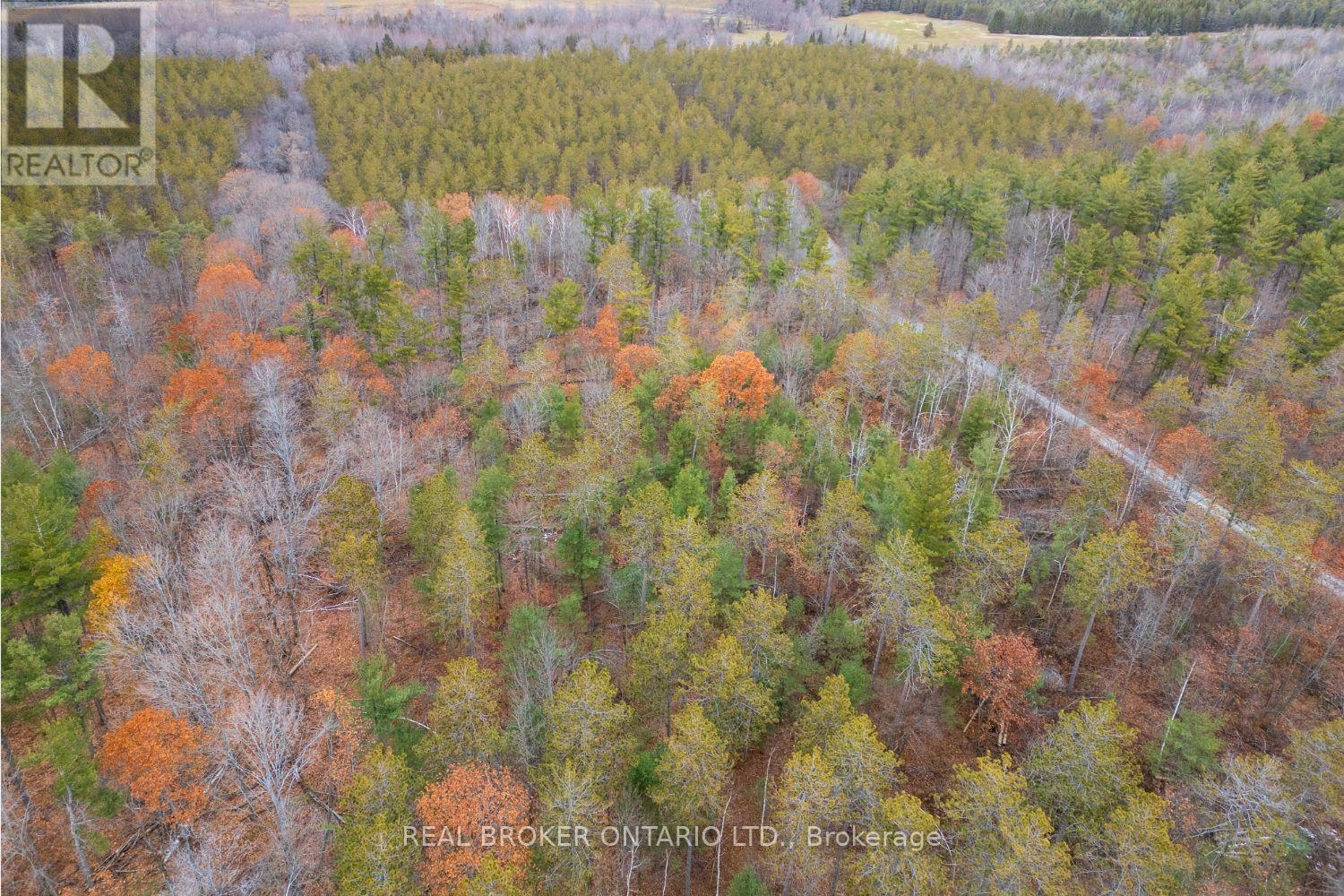 398 Sandy Hook Road, Kawartha Lakes, Ontario L0A 1K0 - Photo 48 - X12563490