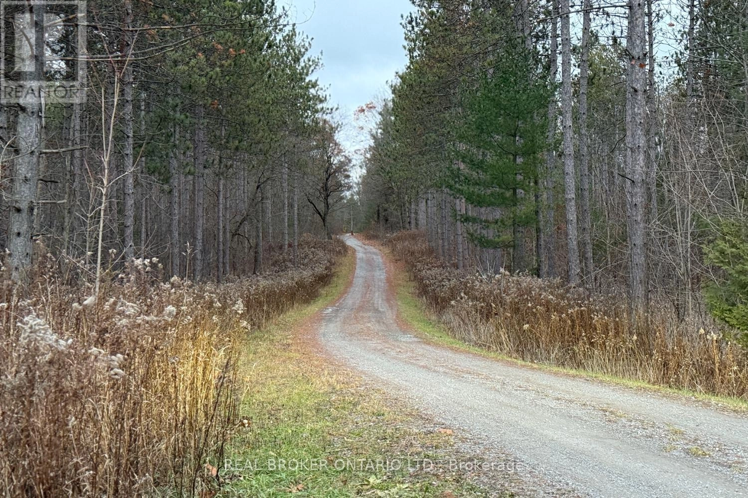398 Sandy Hook Road, Kawartha Lakes, Ontario L0A 1K0 - Photo 8 - X12563490