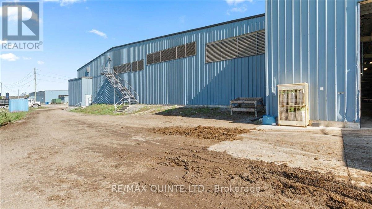 339 Conley Road, Prince Edward County, Ontario  K0K 1G0 - Photo 17 - X12579162