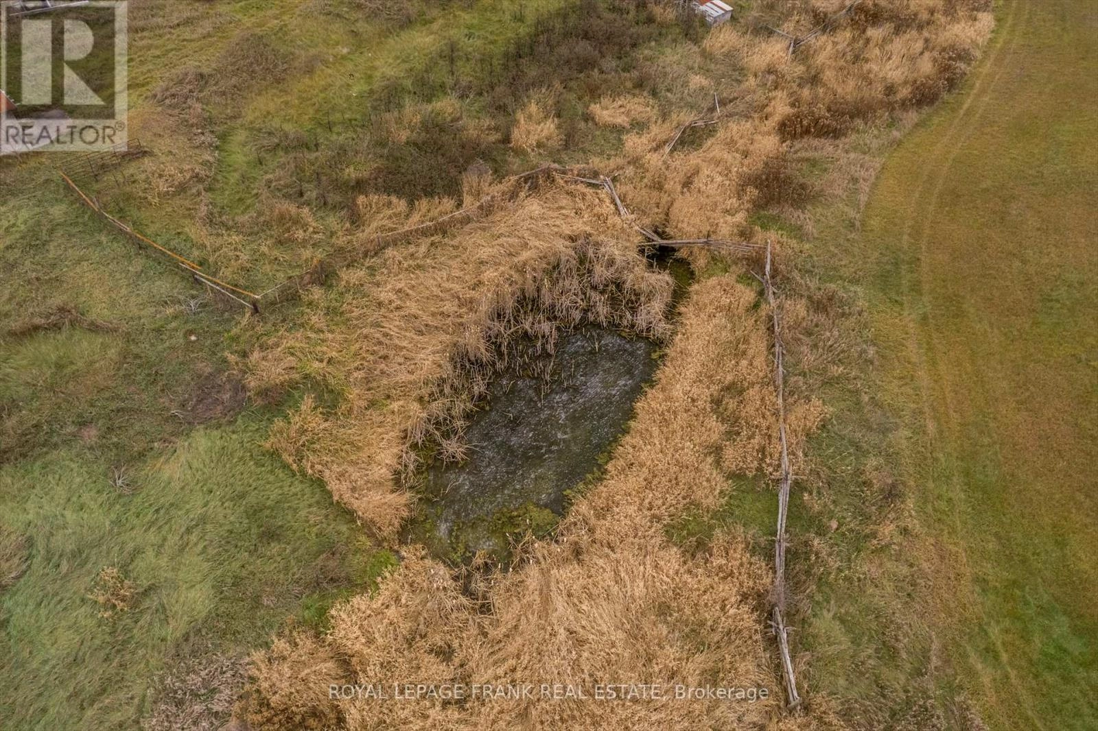 639 County Rd 4, Douro-Dummer, Ontario K9J 6Y1 - Photo 25 - X12586024