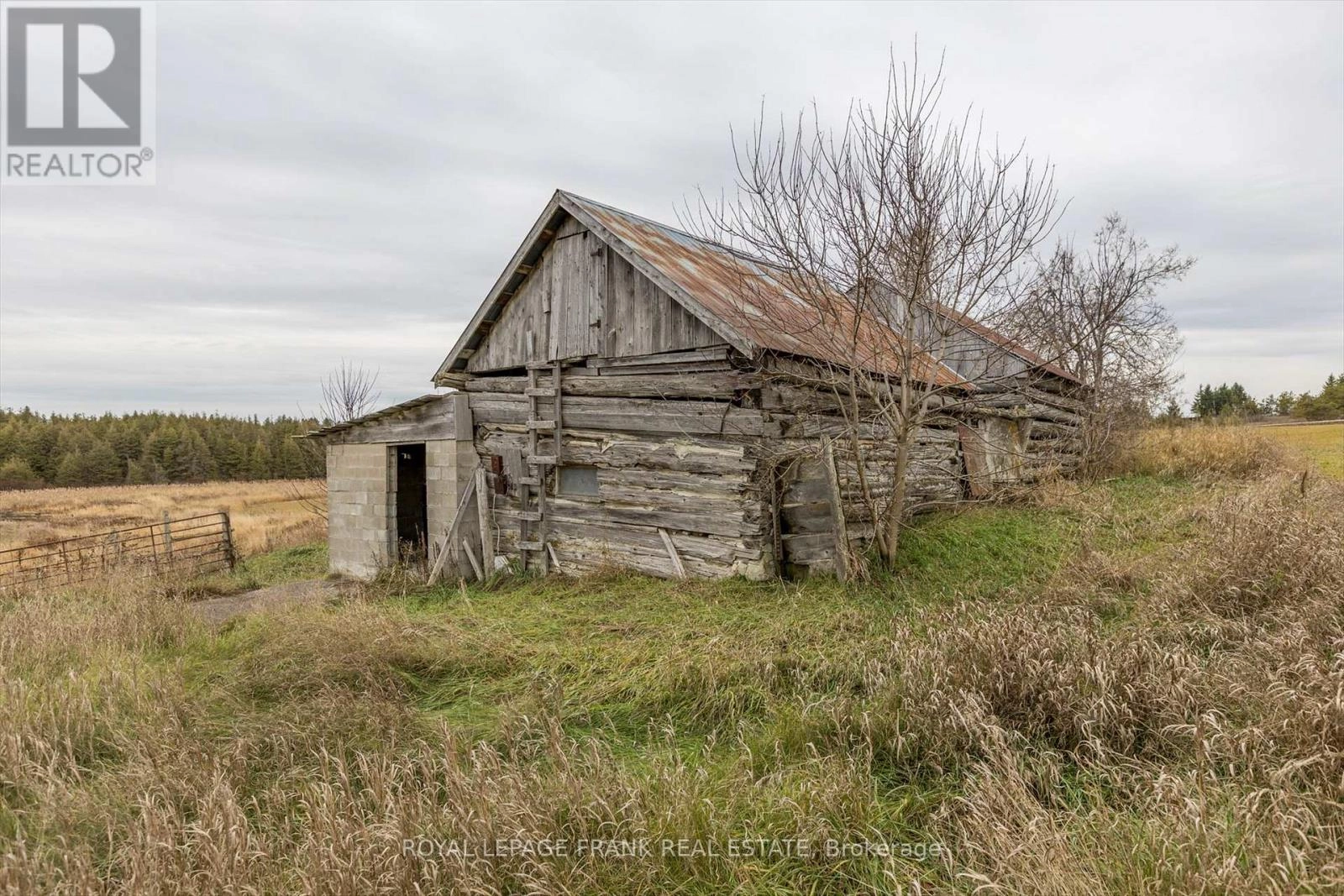 639 County Rd 4, Douro-Dummer, Ontario K9J 6Y1 - Photo 29 - X12586024