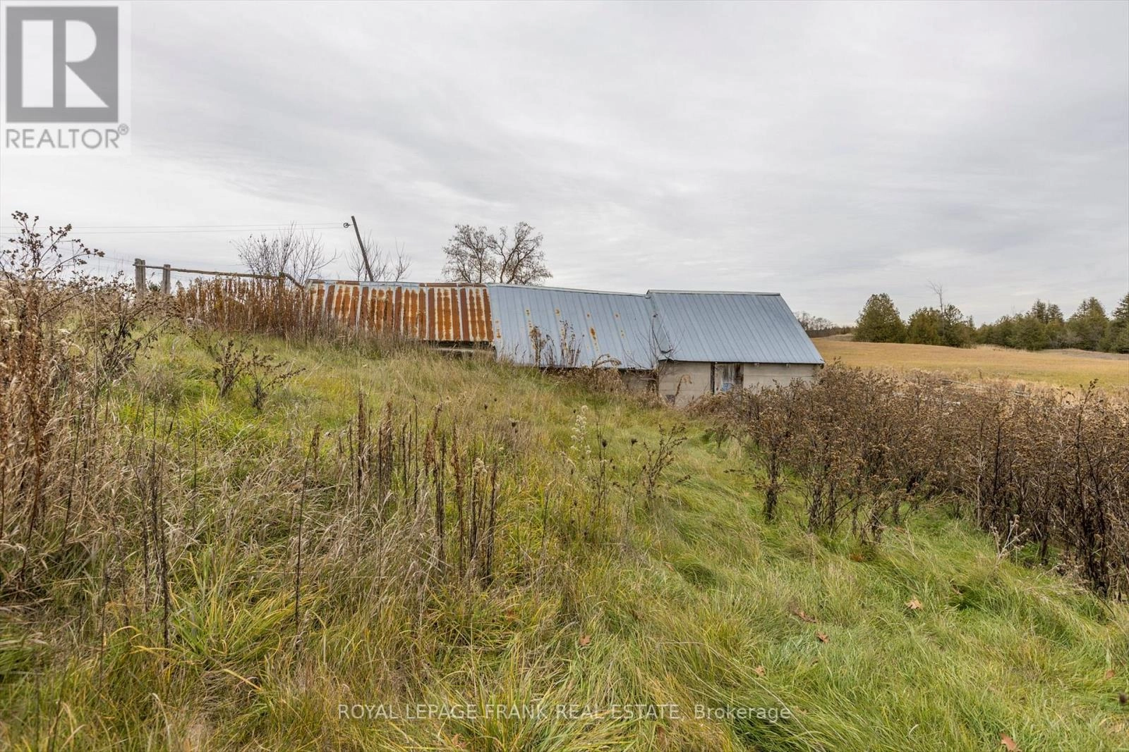 639 County Rd 4, Douro-Dummer, Ontario K9J 6Y1 - Photo 31 - X12586024