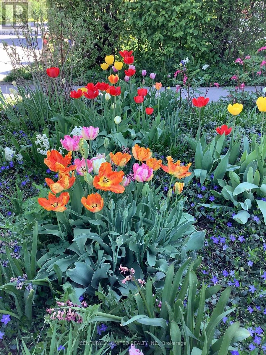 458 Driscoll Terrace, Peterborough, Ontario K9H 1T7 - Photo 41 - X12574368