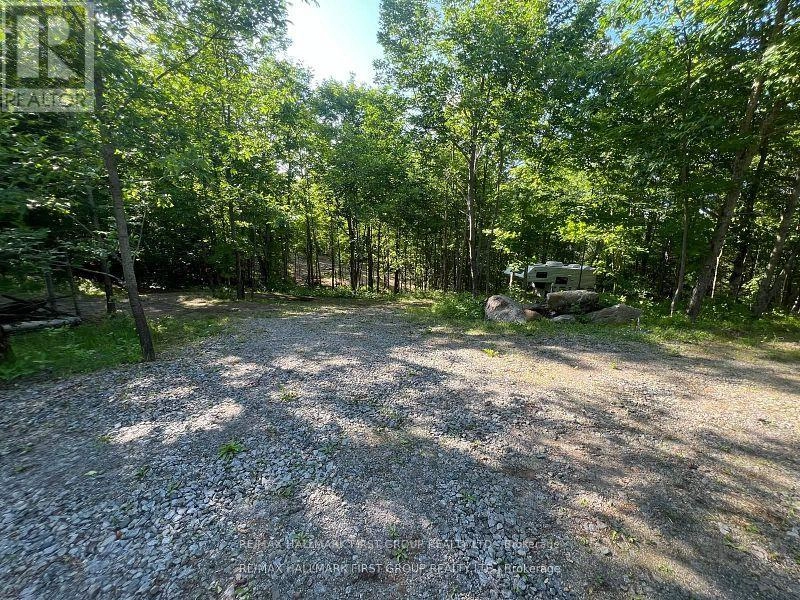 678 Centreview Road, Hastings Highlands, Ontario  K0J 1L0 - Photo 3 - X12449486