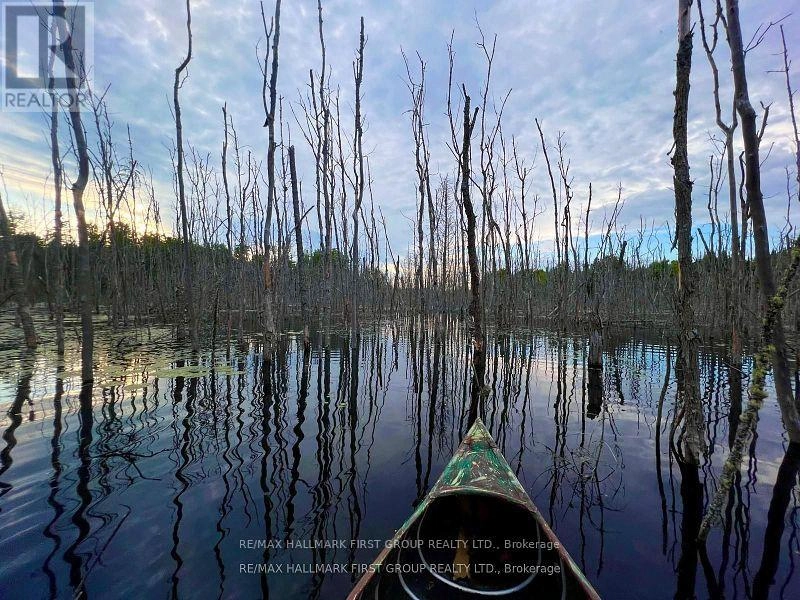 678 Centreview Road, Hastings Highlands, Ontario  K0J 1L0 - Photo 24 - X12449486