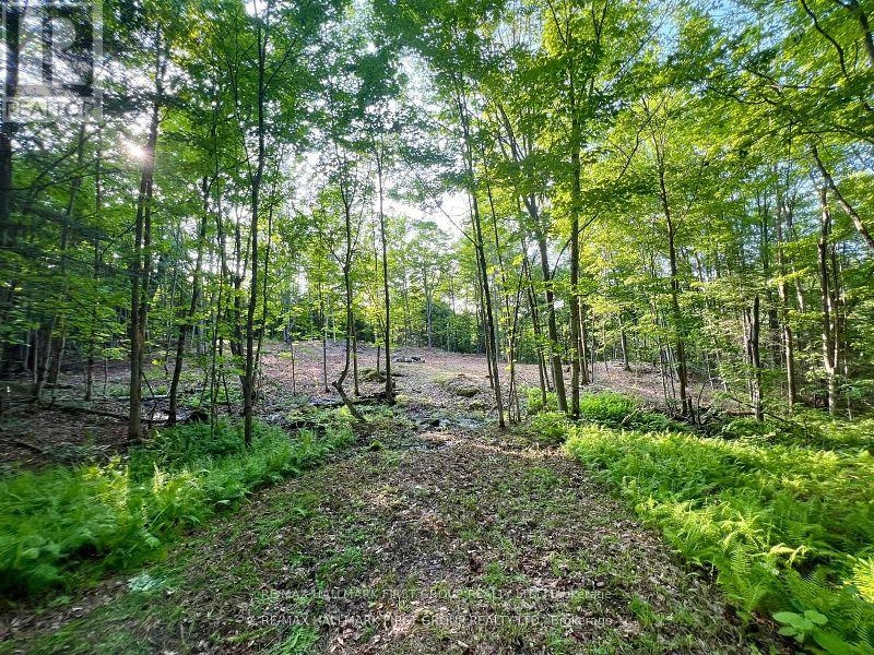 678 Centreview Road, Hastings Highlands, Ontario  K0J 1L0 - Photo 13 - X12449486