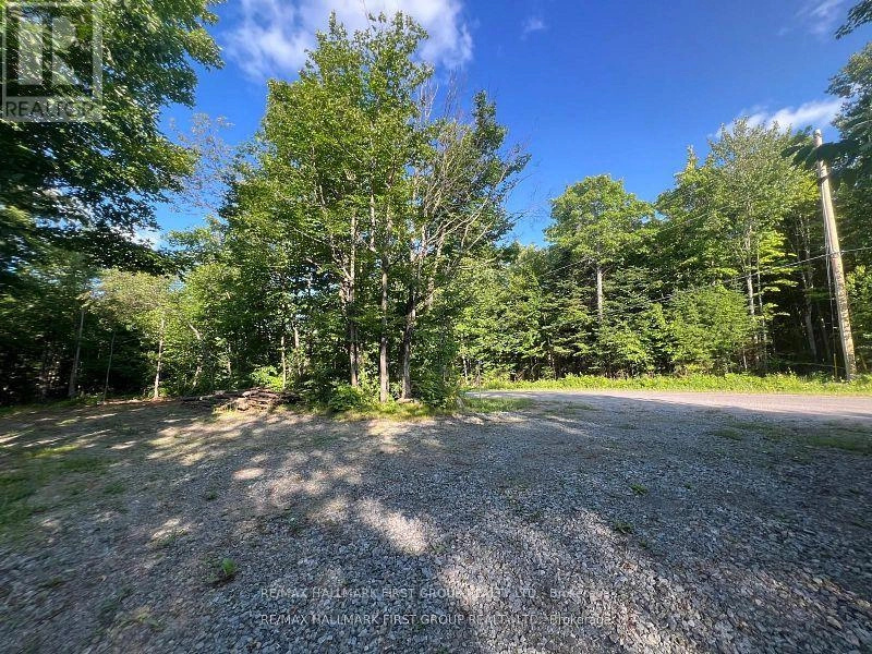 678 Centreview Road, Hastings Highlands, Ontario  K0J 1L0 - Photo 4 - X12449486