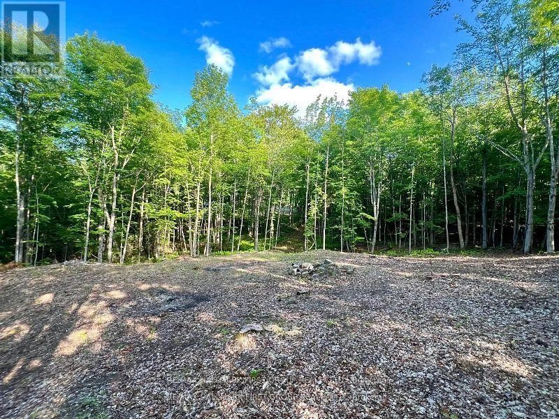 678 Centreview Road, Hastings Highlands, Ontario  K0J 1L0 - Photo 1 - X12449486