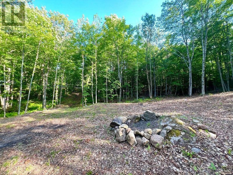 678 Centreview Road, Hastings Highlands, Ontario  K0J 1L0 - Photo 17 - X12449486