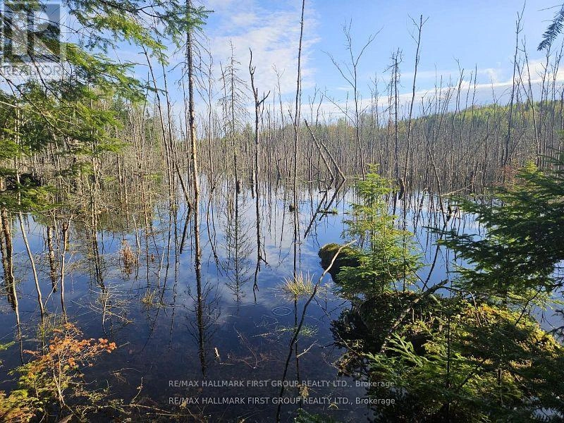 678 Centreview Road, Hastings Highlands, Ontario  K0J 1L0 - Photo 25 - X12449486