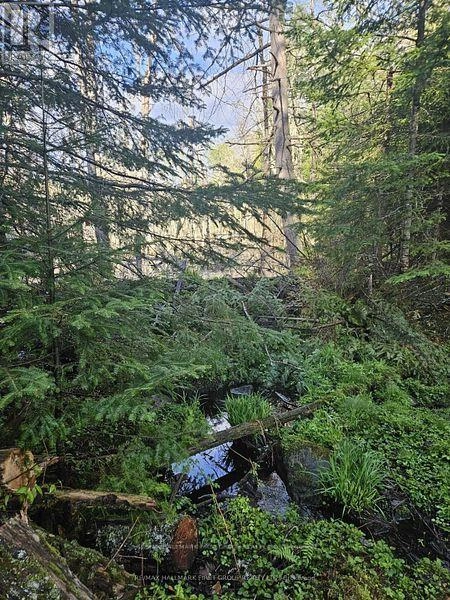 678 Centreview Road, Hastings Highlands, Ontario  K0J 1L0 - Photo 27 - X12449486