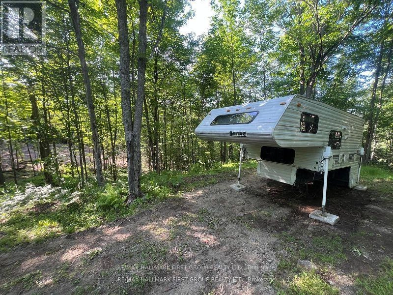 678 Centreview Road, Hastings Highlands, Ontario  K0J 1L0 - Photo 5 - X12449486