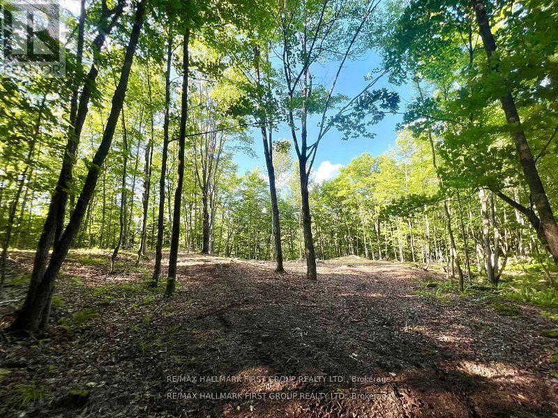 678 Centreview Road, Hastings Highlands, Ontario  K0J 1L0 - Photo 15 - X12449486