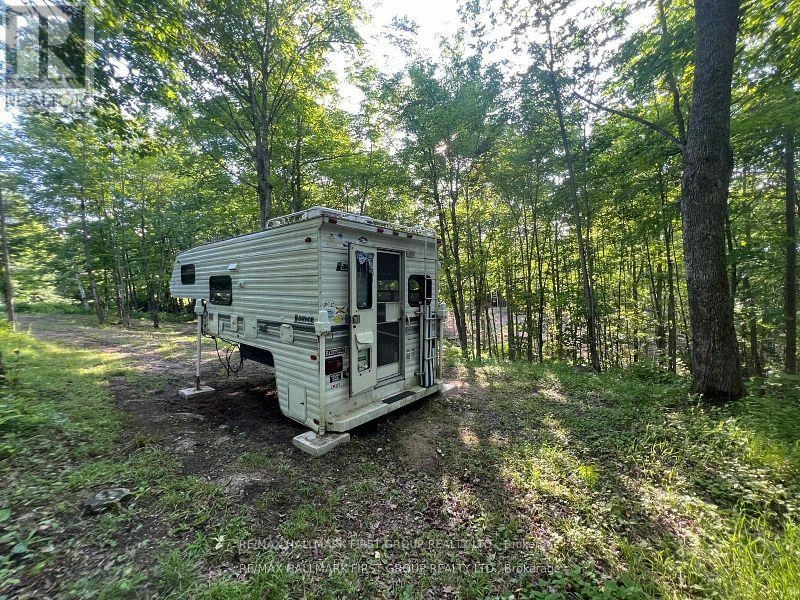 678 Centreview Road, Hastings Highlands, Ontario  K0J 1L0 - Photo 6 - X12449486