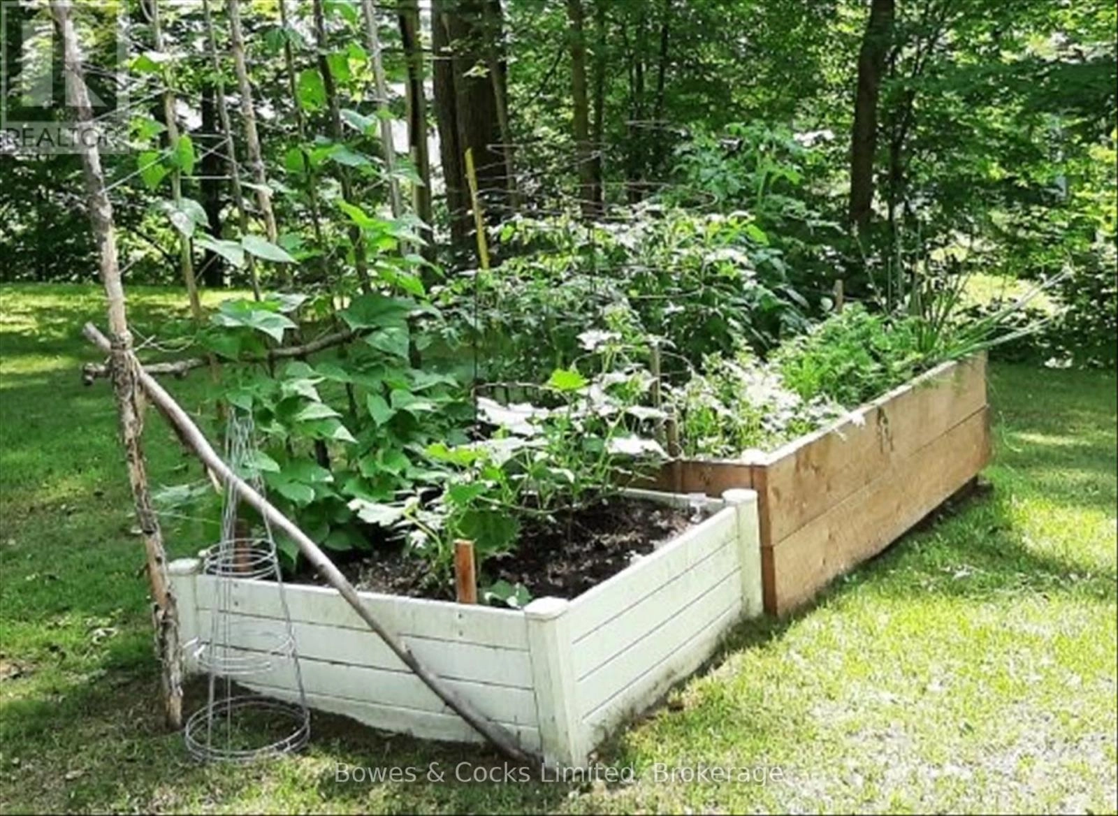 82 Bay Lake Road, Bancroft, Ontario  K0L 2L0 - Photo 46 - X12486525