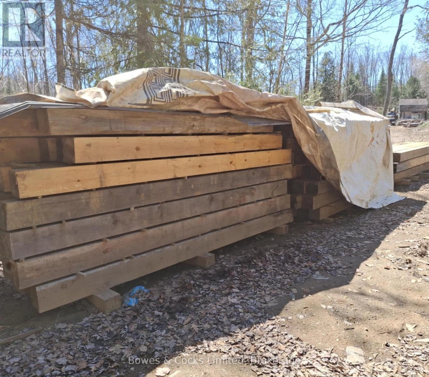 2018 Fortesque Lake Road, Highlands East, Ontario  K0M 1R0 - Photo 25 - X11944222