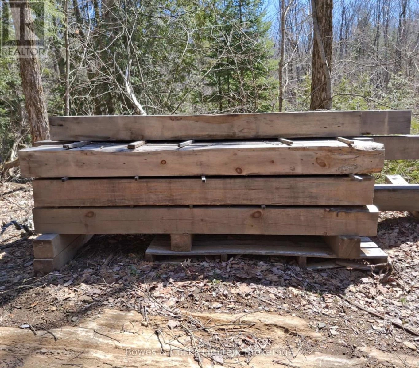 2018 Fortesque Lake Road, Highlands East, Ontario  K0M 1R0 - Photo 13 - X11944222