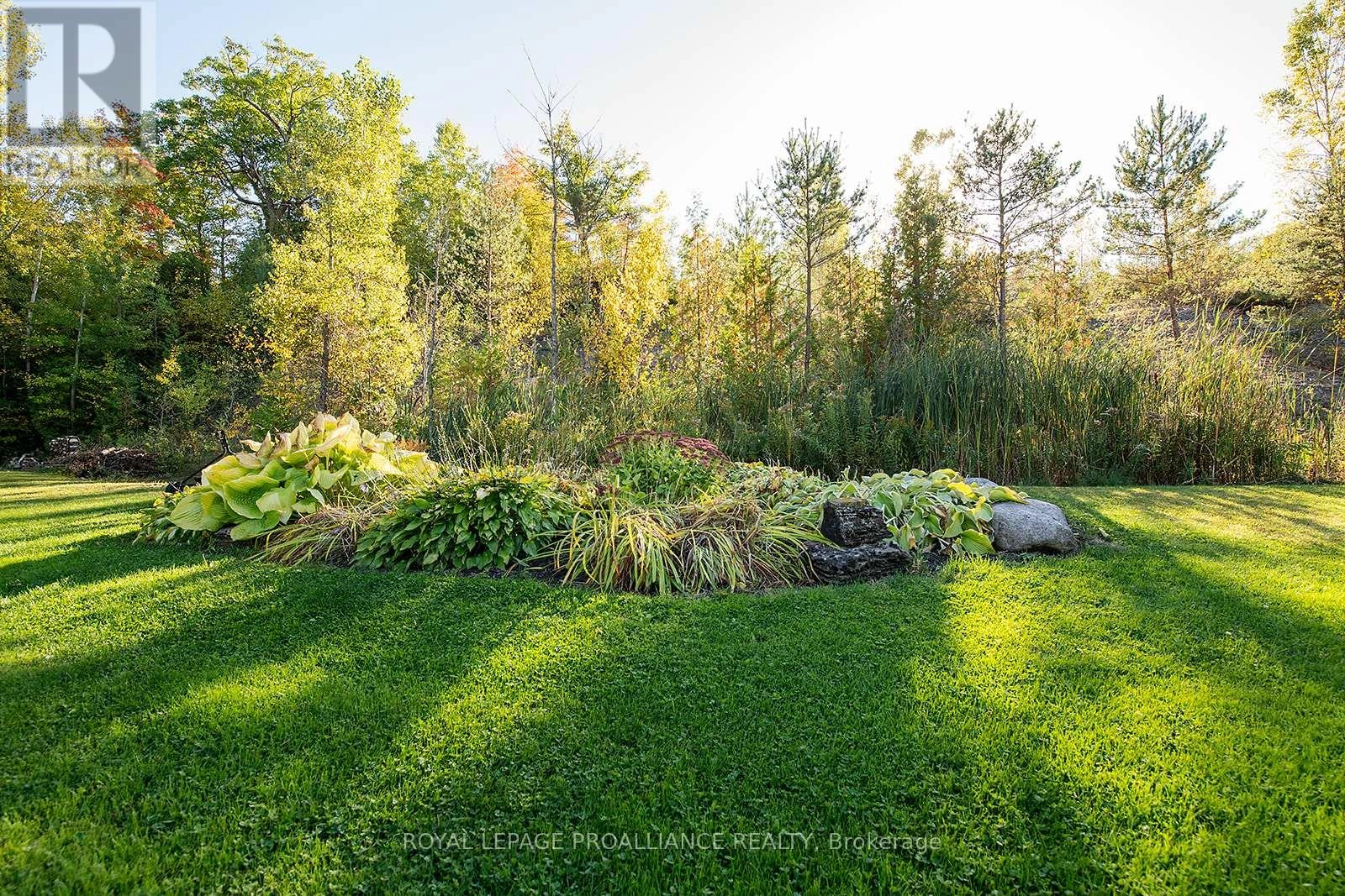 31 Nobes Road, Quinte West, Ontario  K0K 2C0 - Photo 35 - X12604198