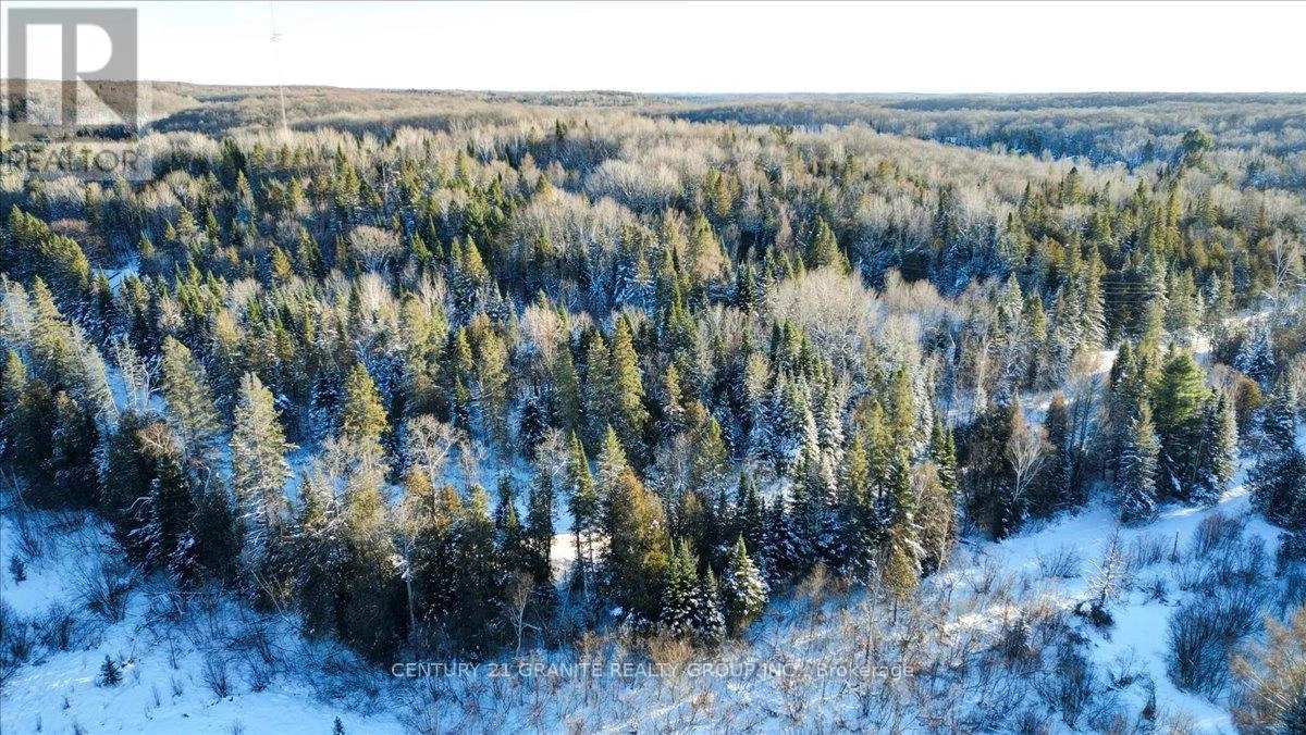 0 Lower Faraday Road, Faraday, Ontario K0L 1C0 - Photo 10 - X12615048