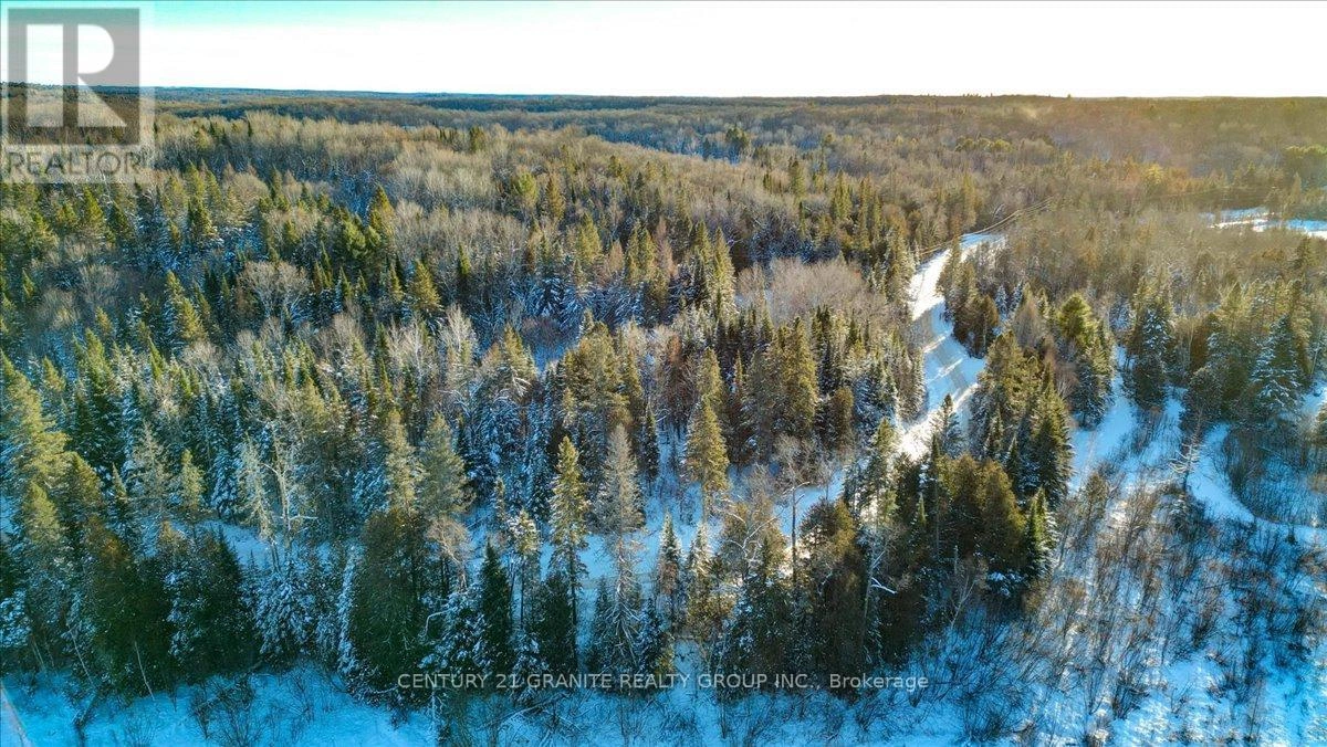 0 Lower Faraday Road, Faraday, Ontario K0L 1C0 - Photo 11 - X12615048