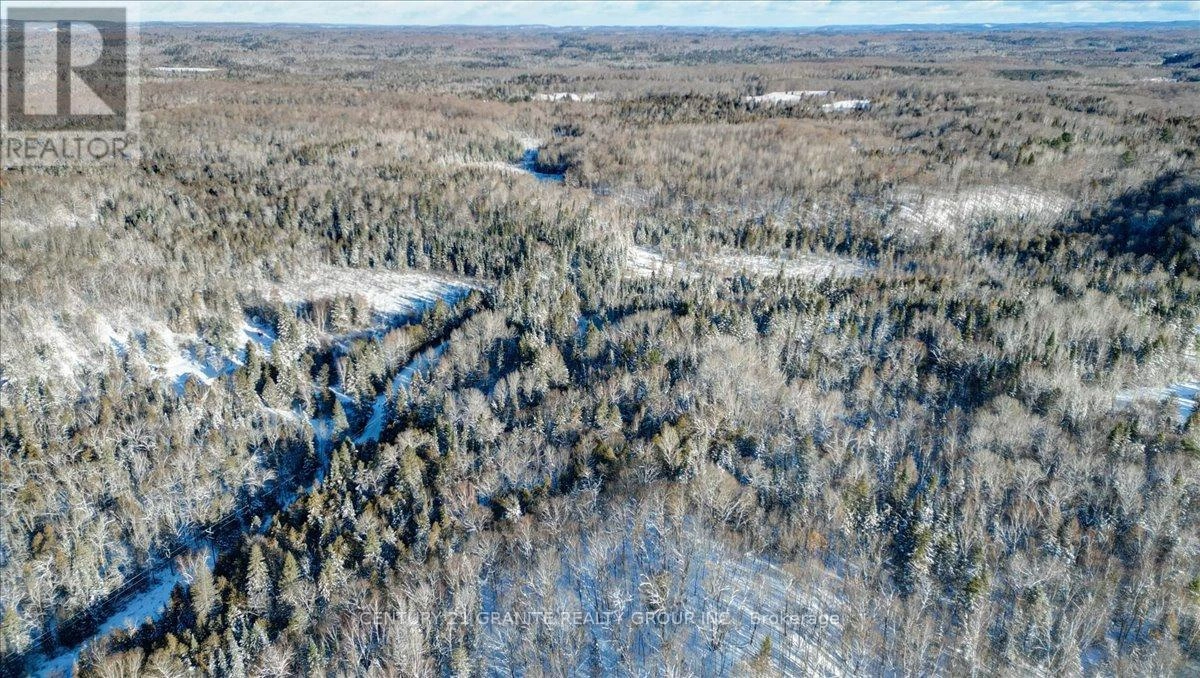 0 Lower Faraday Road, Faraday, Ontario K0L 1C0 - Photo 4 - X12615048