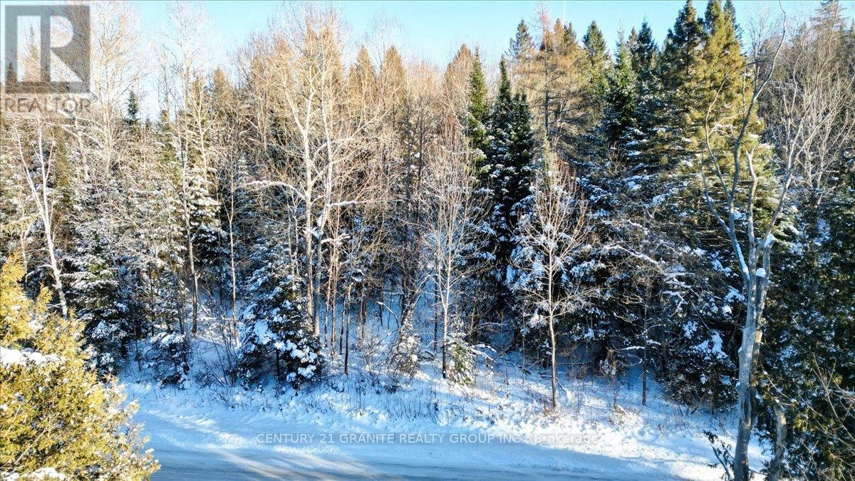 0 Lower Faraday Road, Faraday, Ontario K0L 1C0 - Photo 6 - X12615048