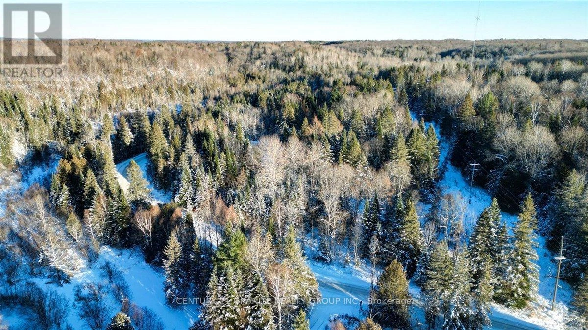 0 Lower Faraday Road, Faraday, Ontario K0L 1C0 - Photo 7 - X12615048