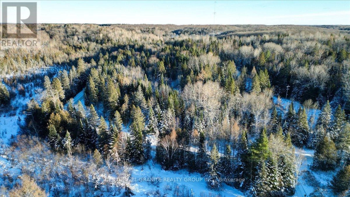 0 Lower Faraday Road, Faraday, Ontario K0L 1C0 - Photo 8 - X12615048