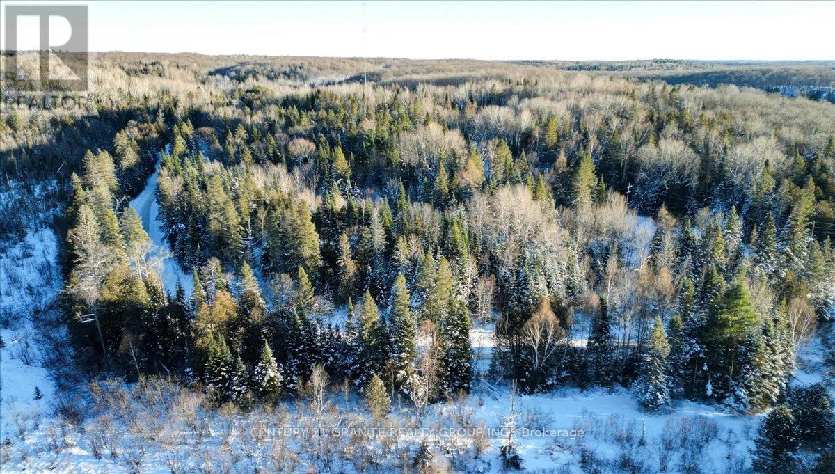 0 Lower Faraday Road, Faraday, Ontario K0L 1C0 - Photo 9 - X12615048