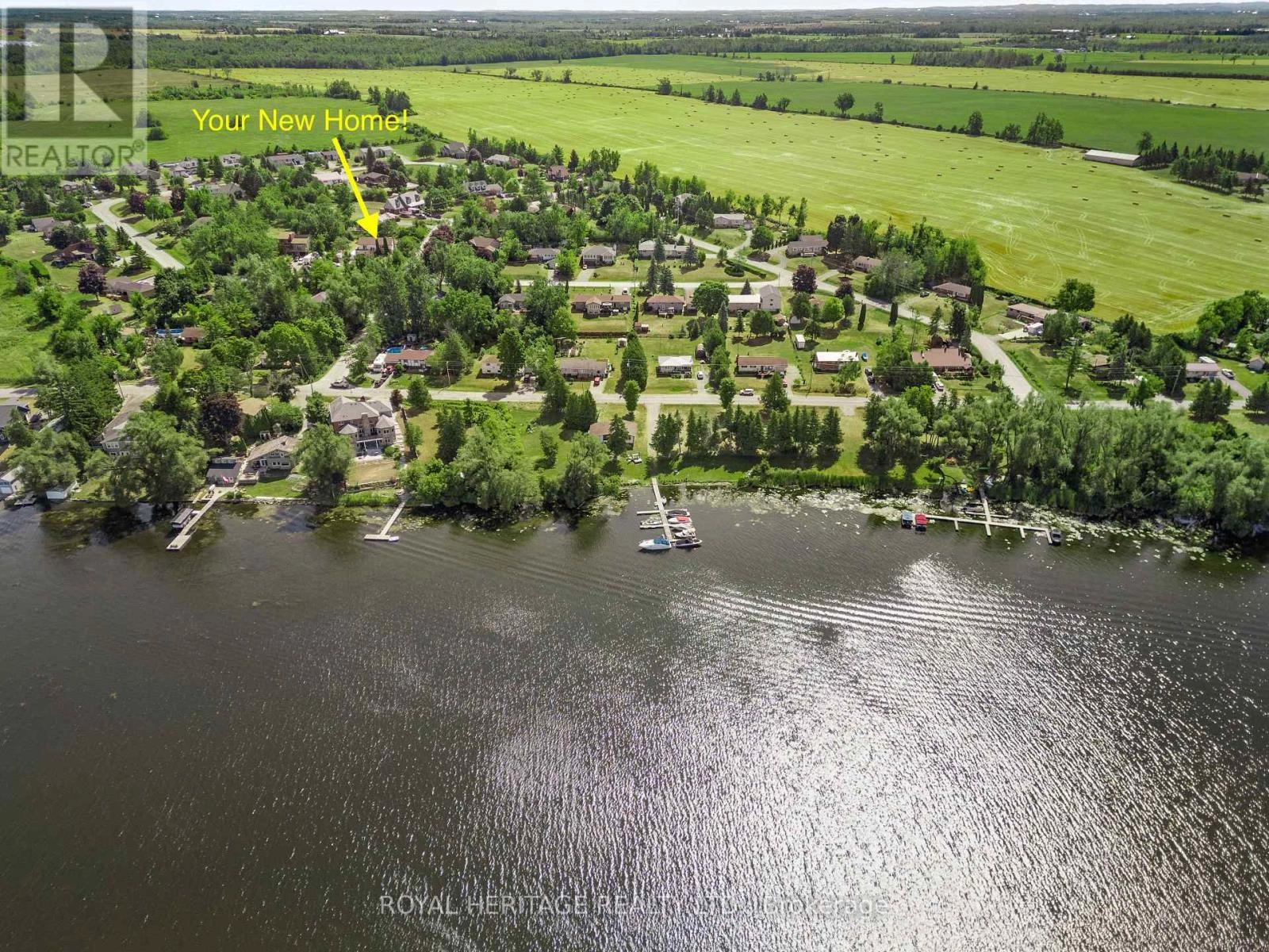 20 Buckhorn Road, Kawartha Lakes, Ontario  K9V 4R6 - Photo 7 - X12356913