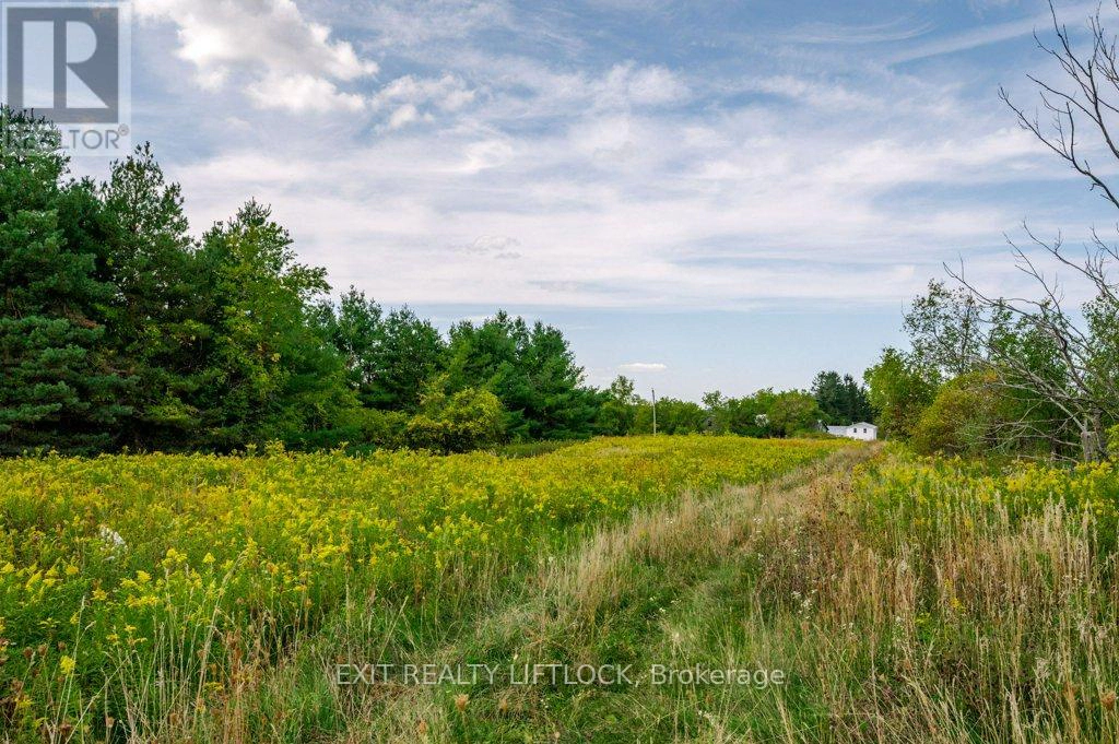 194 County Rd 10, Cavan Monaghan, Ontario  L0A 1G0 - Photo 41 - X12415738