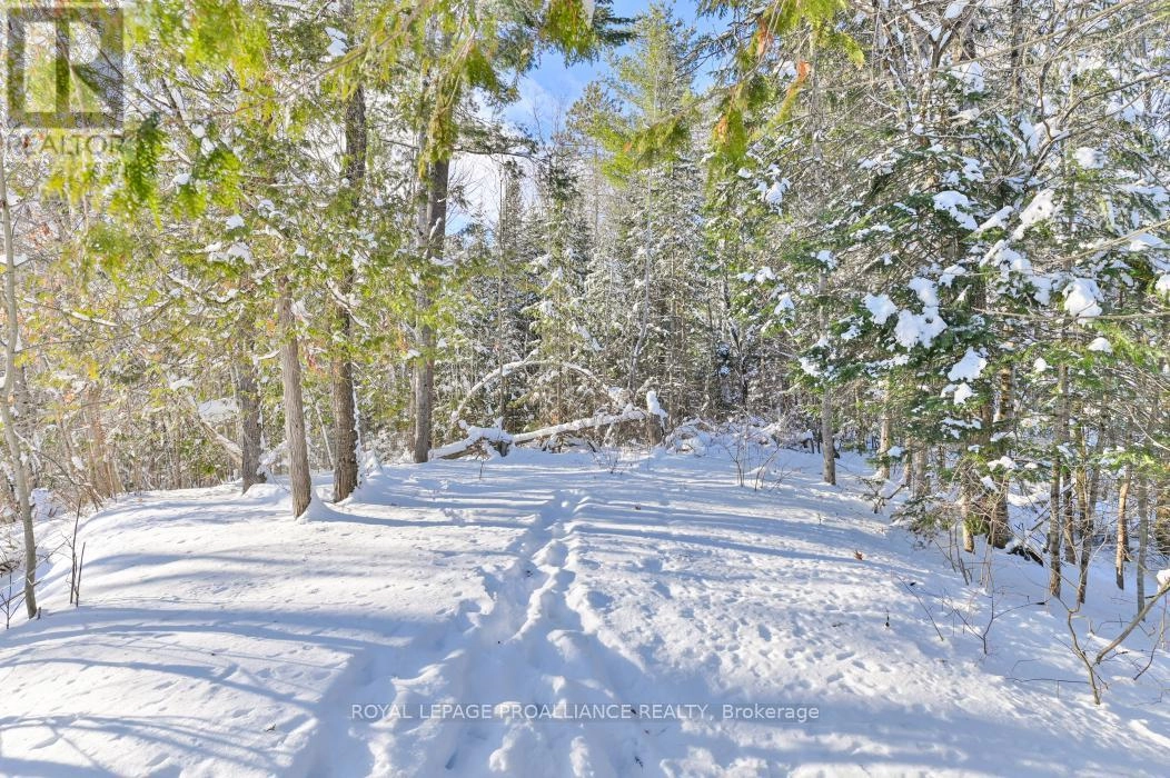 1023 Jewel Road, North Frontenac, Ontario K0H 1K0 - Photo 41 - X12395009