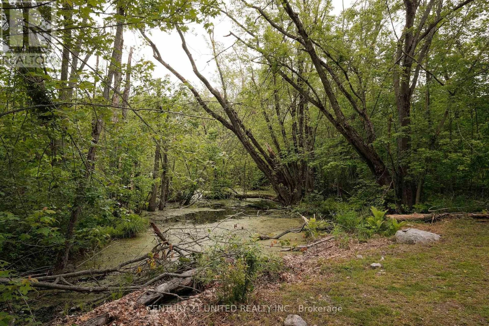 4 Rollies Bay Road E, Curve Lake First Nation 35, Ontario  K0L 1R0 - Photo 29 - X12643700