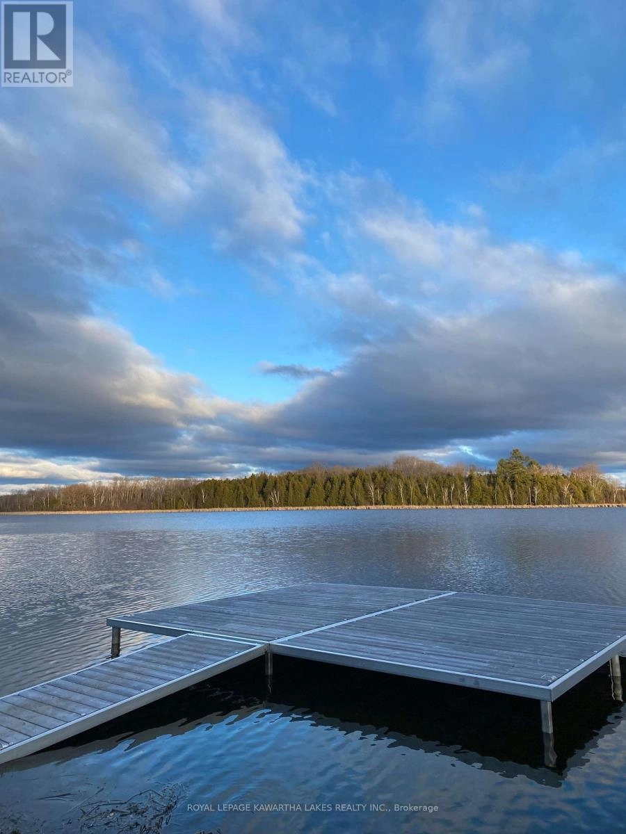 222 O'reilly Lane, Kawartha Lakes, Ontario  K0M 2C0 - Photo 41 - X12653342