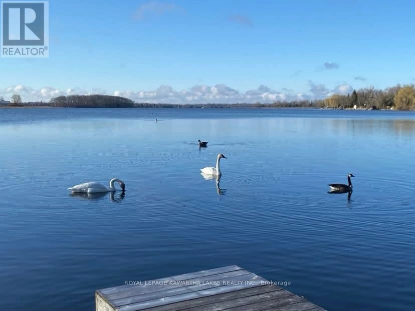 222 O'reilly Lane, Kawartha Lakes, Ontario  K0M 2C0 - Photo 48 - X12653342