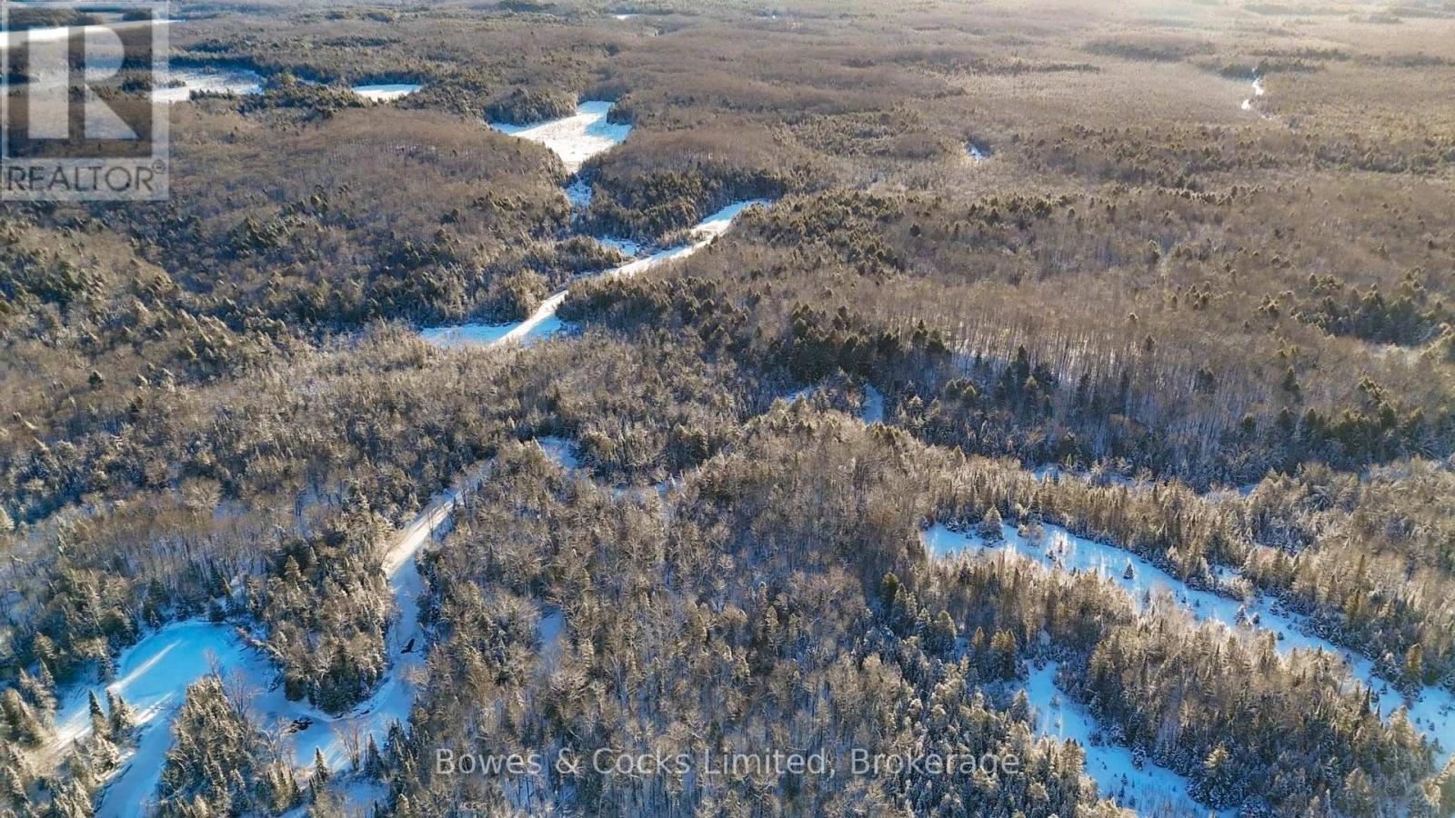 Pt Lt 3 Concession 6, North Kawartha, Ontario  K0L 1A0 - Photo 5 - X12628596